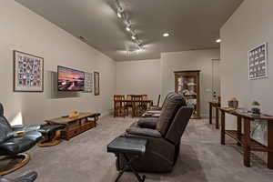 Living room featuring rail lighting and carpet
