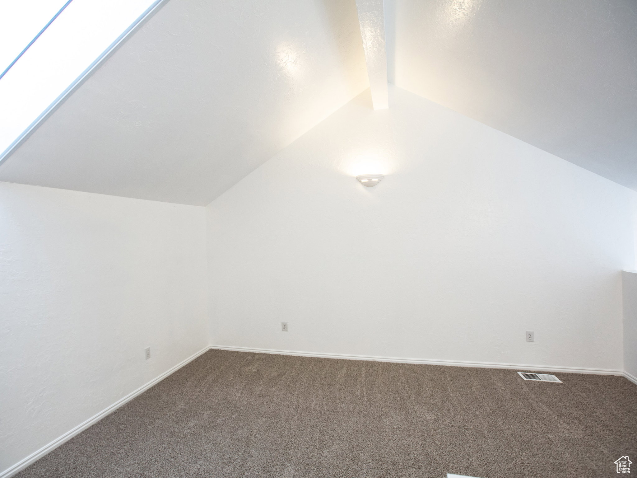 Additional living space featuring dark carpet and a skylight