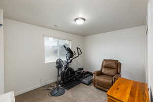 Exercise room featuring carpet floors and baseboards