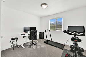 Office featuring light colored carpet and baseboards
