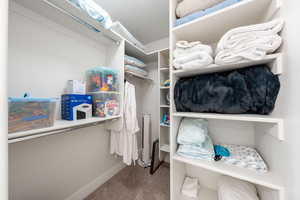 Walk in closet with light colored carpet