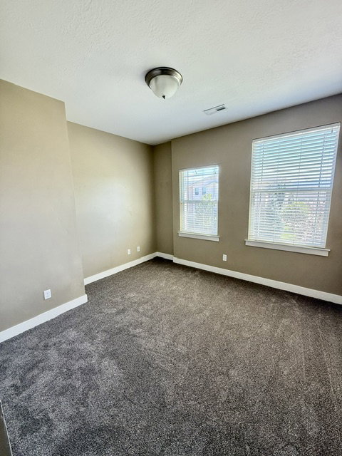 NEW CARPET