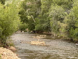 That fence is the East property line