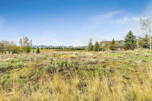 View of undeveloped land with rural landscape and a mountainous background