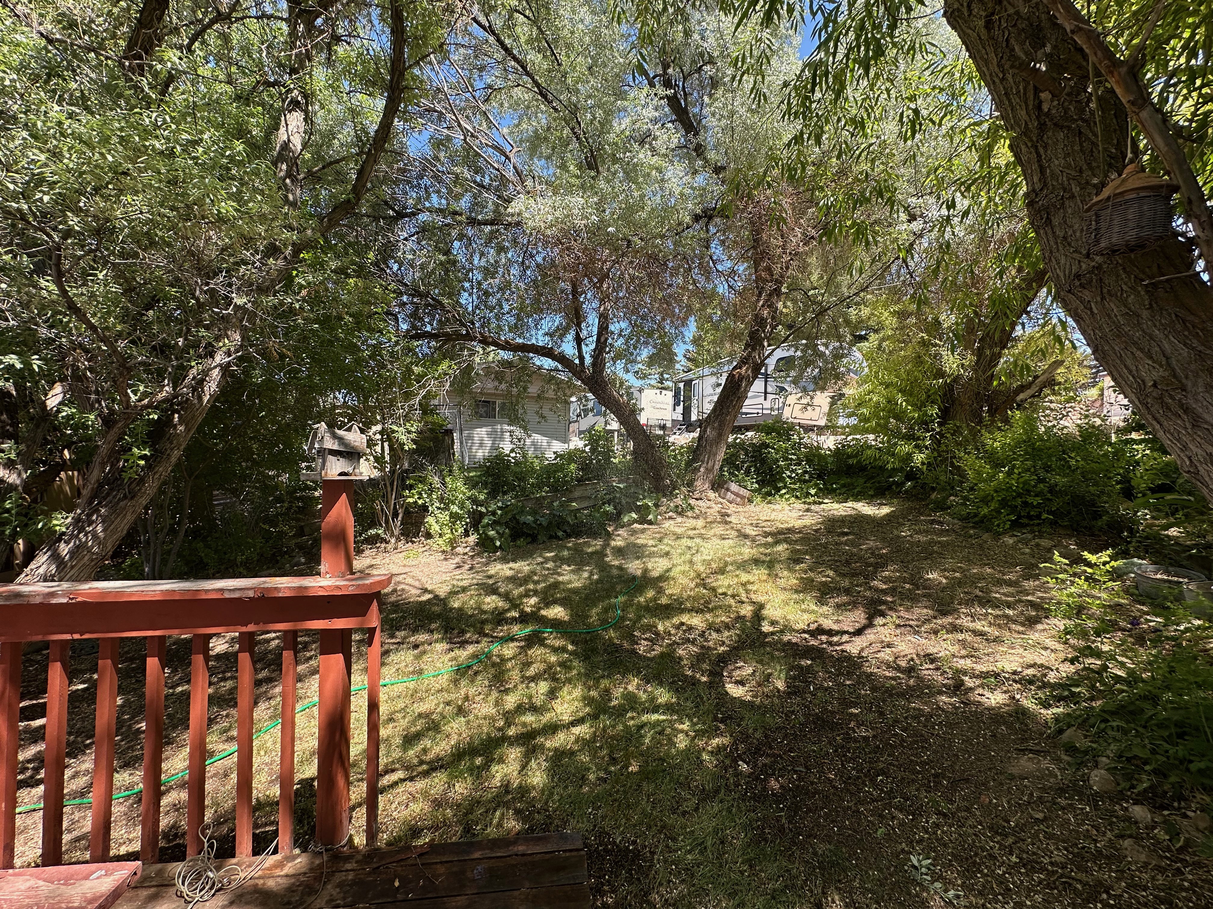 Yard