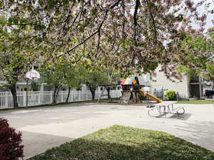 View of basketball court