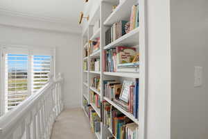 Stair landing book shelves