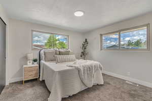Bedroom with carpet flooring and a textured ceiling