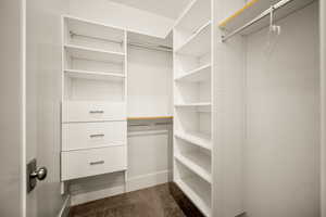 View of walk in closet