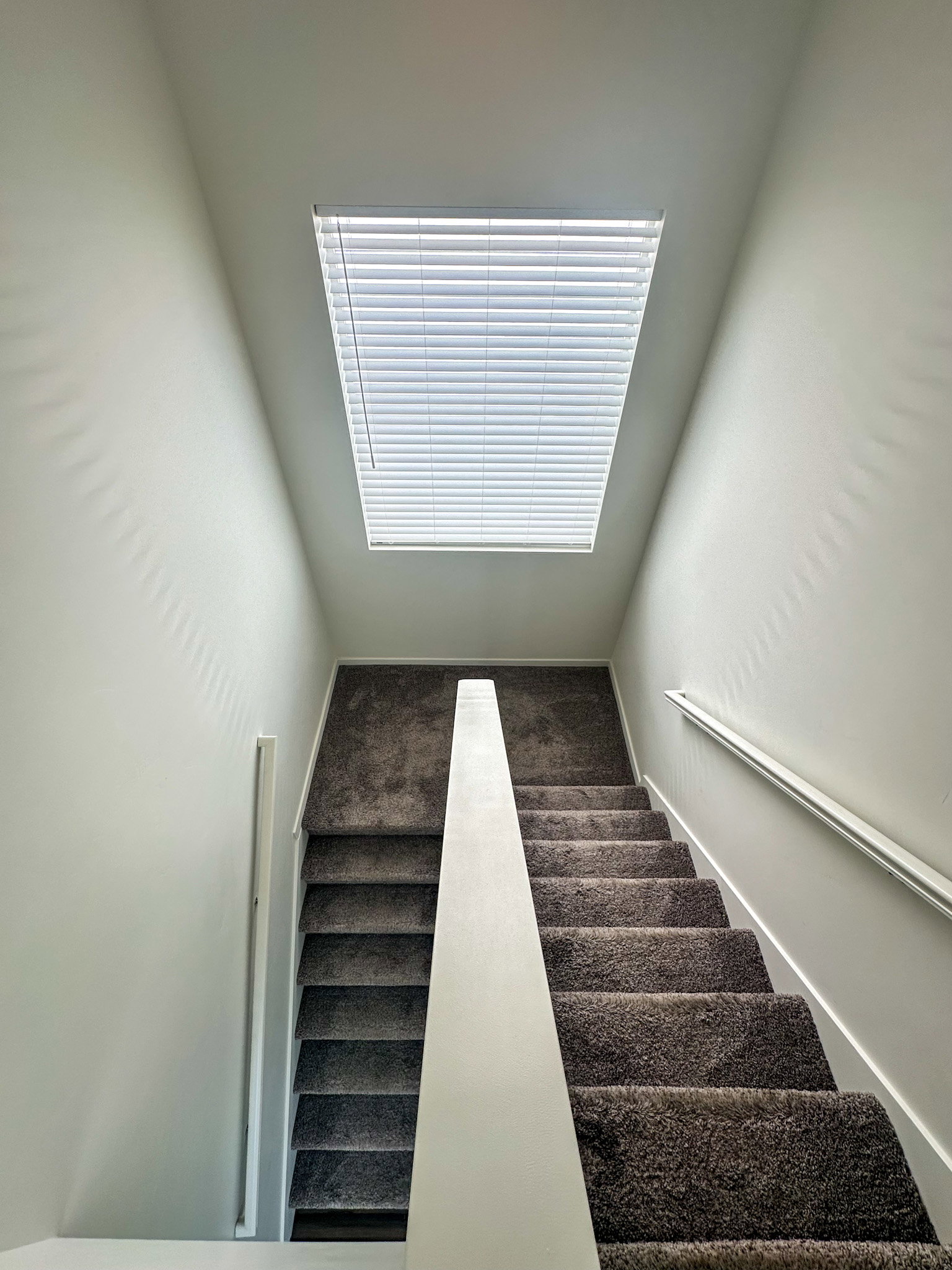 Stairs featuring carpet floors