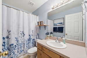 Bathroom with vanity and curtained shower