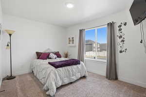 Bedroom featuring baseboards and light colored carpet
