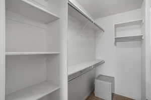 Walk in closet featuring carpet