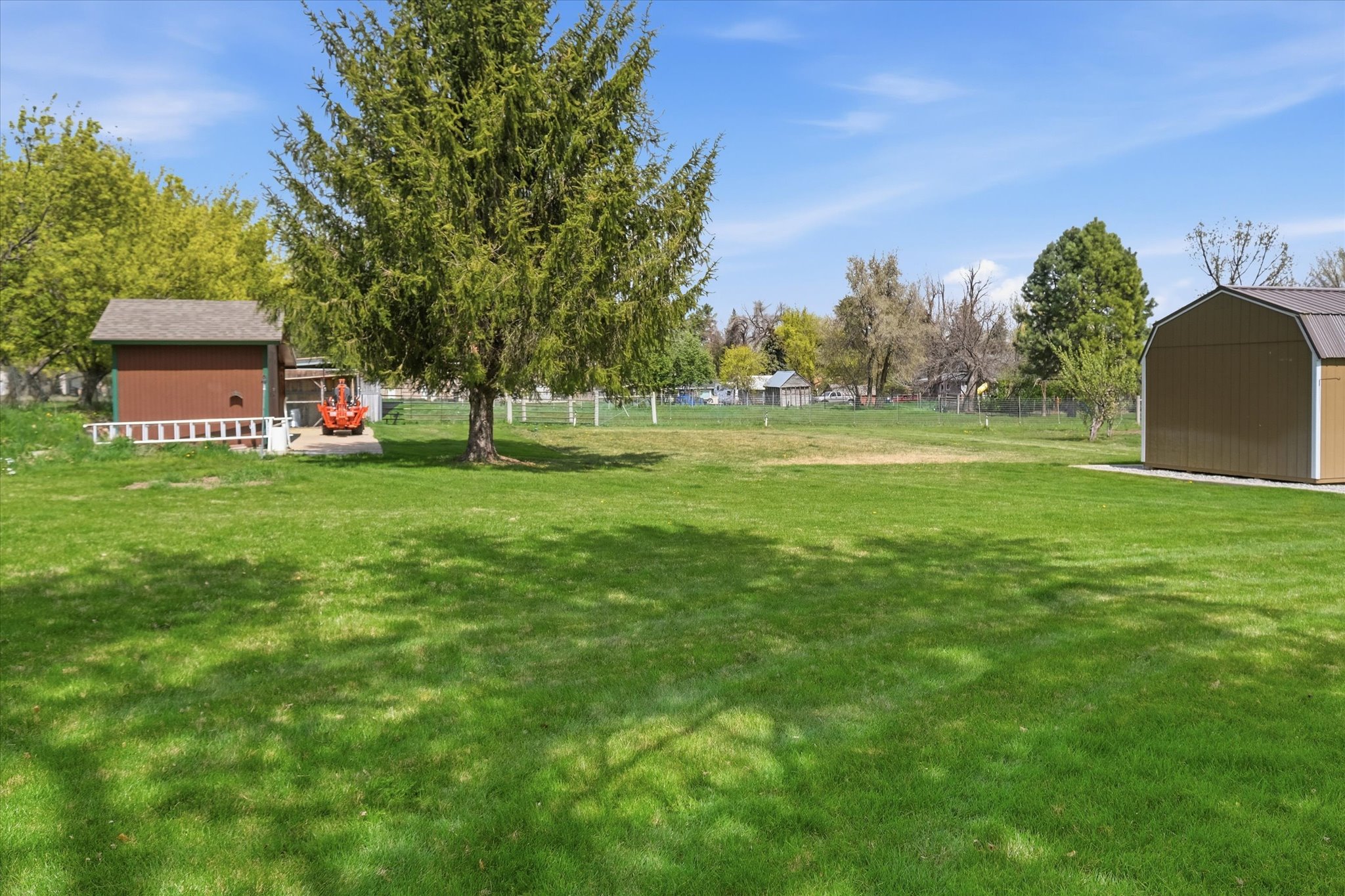 View of yard featuring a shed