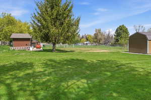 View of yard featuring a shed