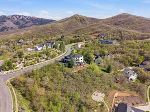 Aerial perspective of suburban area with a mountain backdrop