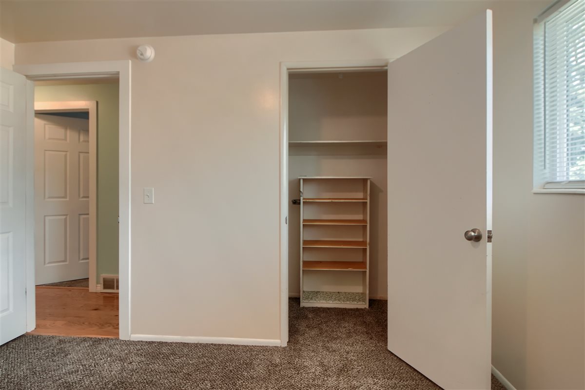 Unfurnished bedroom with carpet floors, a spacious closet, and multiple windows