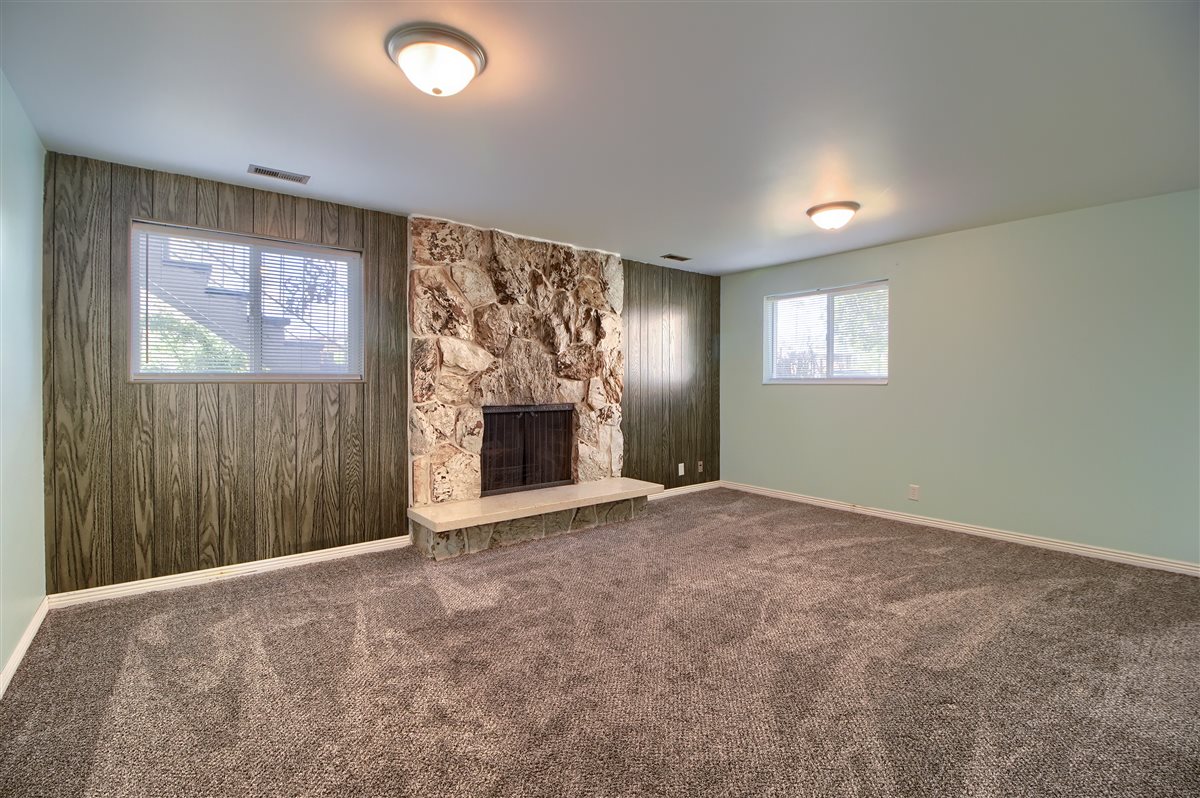 Unfurnished living room with wood walls, carpet, and a stone fireplace
