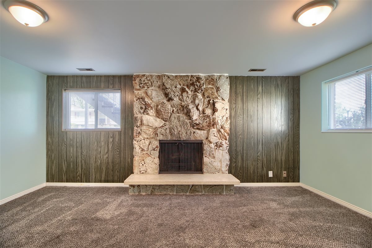 Unfurnished living room featuring wooden walls, a fireplace, carpet, and healthy amount of natural light