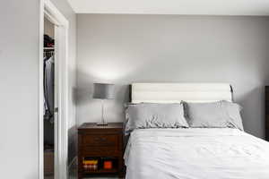 Primary suite featuring LVP flooring and walk-in closet