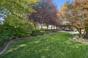 View of green lawn featuring a patio