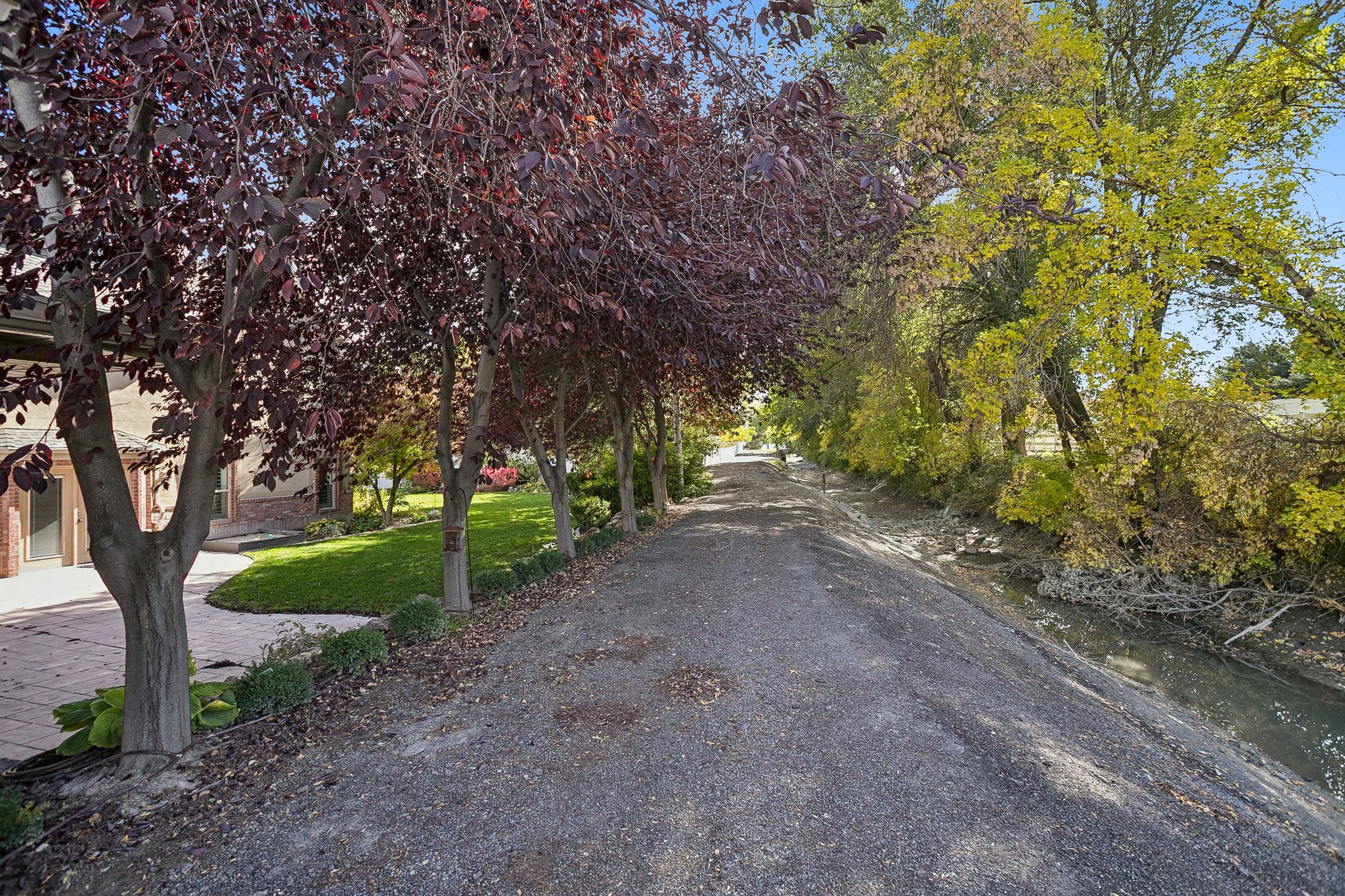 View of dirt / gravel road