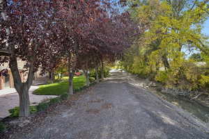 View of dirt / gravel road