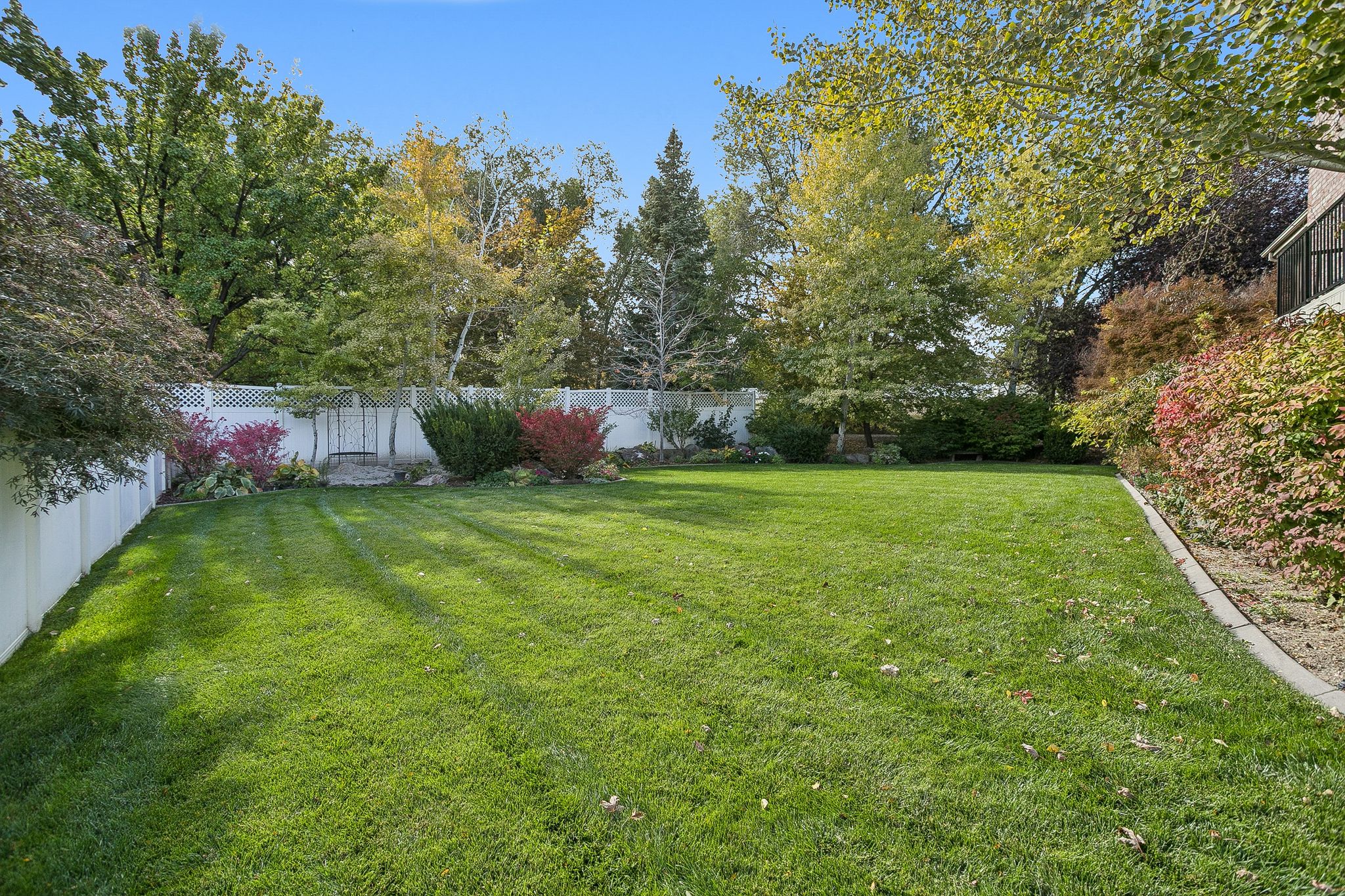View of fenced backyard