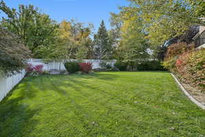 View of fenced backyard
