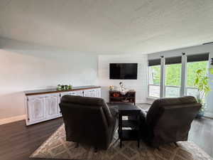 Living room with dark wood-finish flooring and a light-toned area rug