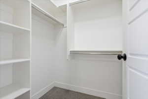 Walk in closet with carpet floors