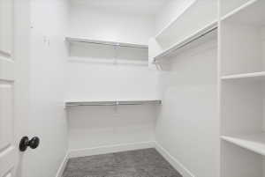 Walk in closet featuring light carpet