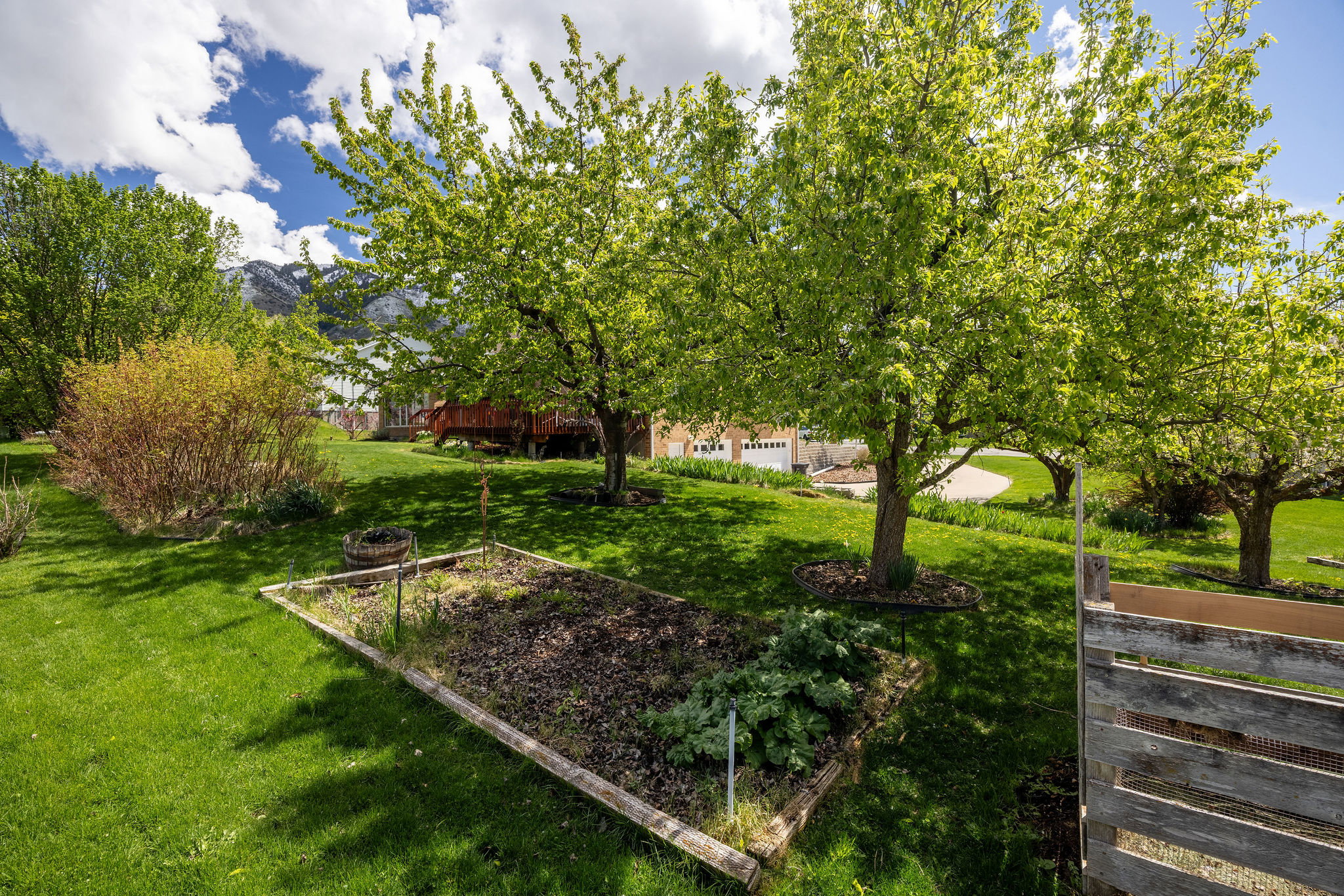 View of grassy yard with a vegetable garden
