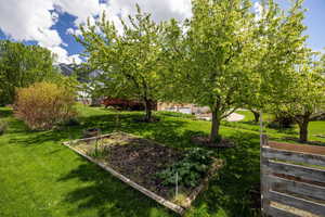 View of grassy yard with a vegetable garden