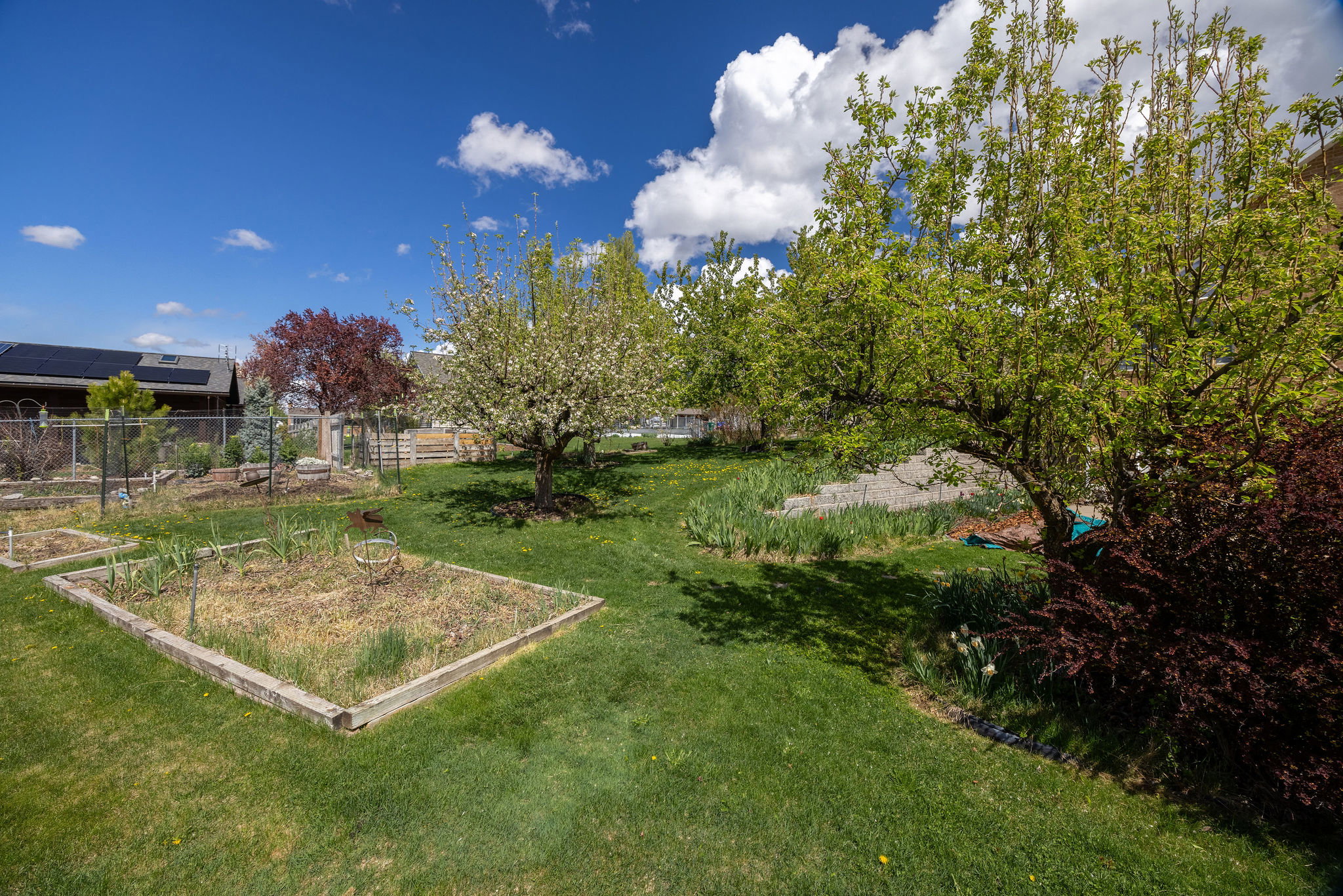 View of yard with a vegetable garden