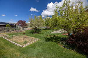 View of yard with a vegetable garden