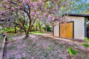 Fenced backyard with a storage shed