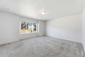 Unfurnished room with light carpet and a textured ceiling