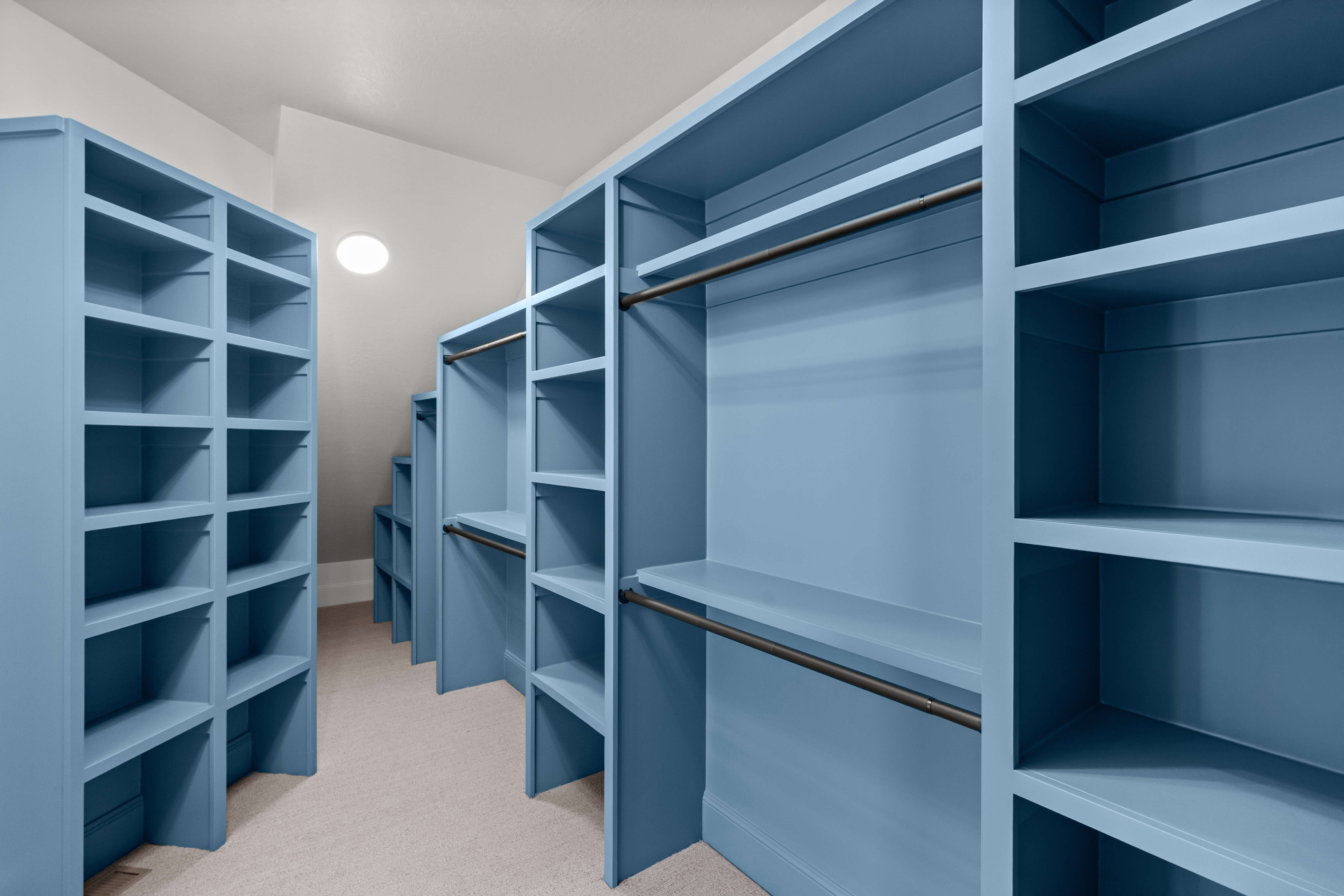 Walk in closet with light colored carpet