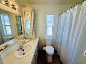 Full bathroom featuring vanity and curtained shower