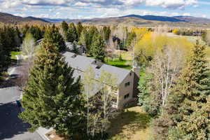 Drone / aerial view of mountains and a tree filled landscape
