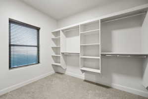 Walk in closet featuring light carpet