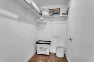 Walk in closet featuring dark wood-style flooring