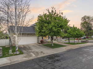 Obstructed view of property with driveway, a garage, and a shingled roof
