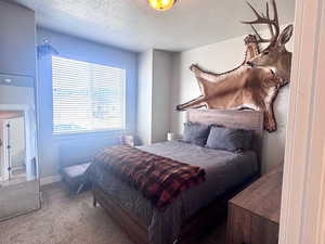 Bedroom featuring carpet floors and a textured ceiling