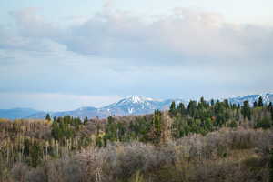 View of mountain backdrop with a forest