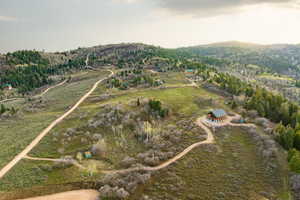 Overview of rural landscape with a heavily wooded area