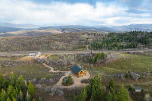 Aerial view of a heavily wooded area and a mountainous background