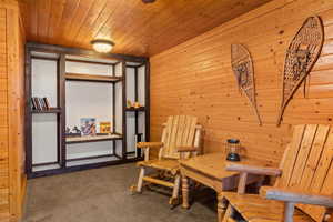 Living area featuring wood walls, carpet floors, and wood ceiling