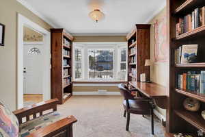 Home office featuring light colored carpet and ornamental molding
